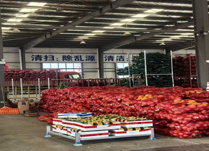 寿光农产品市场调研纪实:瓜果集散枢纽与线上拓销之困